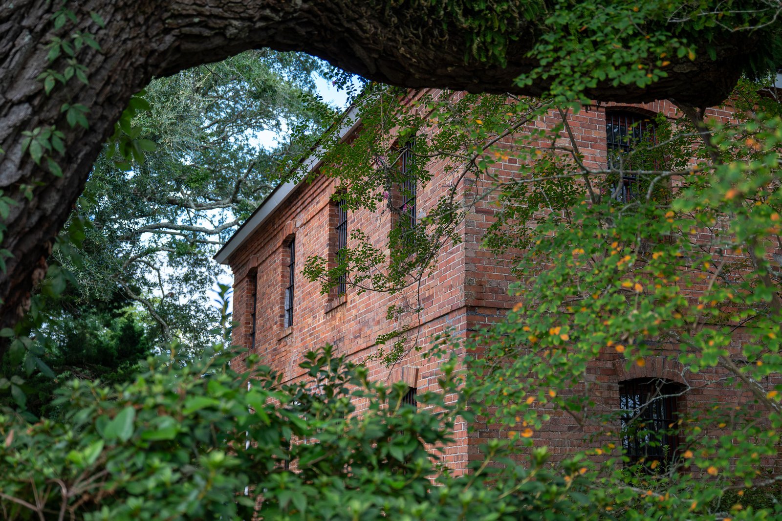 Old Brunswick County Jail Museum among trees